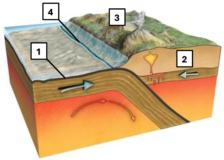 <p><span>This image depicts a specific movement of two types of lithospheric crust. Please select the correct labels for the numbered features and indicate what type of boundary is depicted.</span></p>