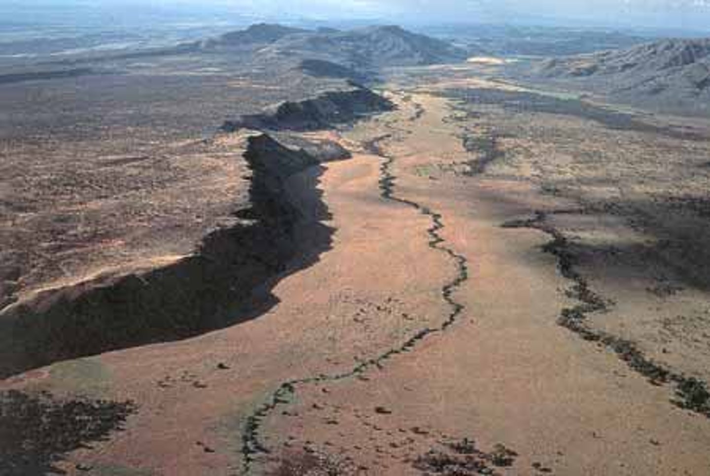 <p>lowland region in East Africa that formed where Earth's tectonic plates moved apart</p>