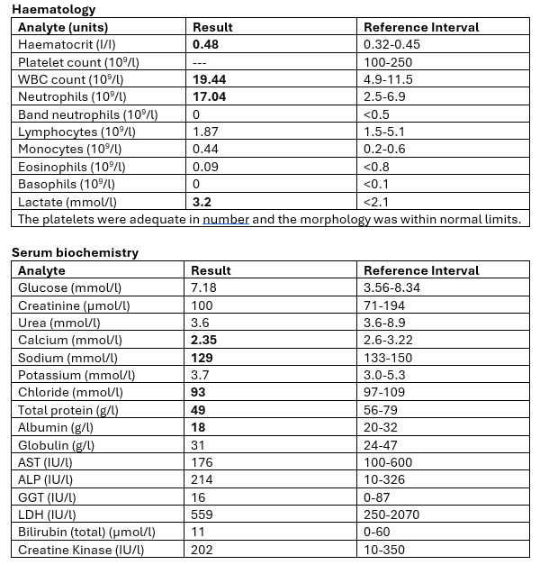 <p>Case 1</p><p>A 1-year-old Thoroughbred filly presents with projective watery diarrhoea of 2 weeks' duration. The BCS is 1/5, with well visible ribs, tucked-up abdomen, undeveloped musculature of the hind limbs and forelimbs. The filly has dull demeanour. The heart rate is 60 beats per minute, respiratory rate is 12 breaths per minute and rectal temperature is 38.8°C. Mucous membranes are tacky, dry with a CRT of 3 seconds. Gastrointestinal borborygmic are loud, watery on all quadrants. Digital pulses are palpable but not increased.</p><ul><li><p>interpret the haem and biochem</p></li></ul><p></p>