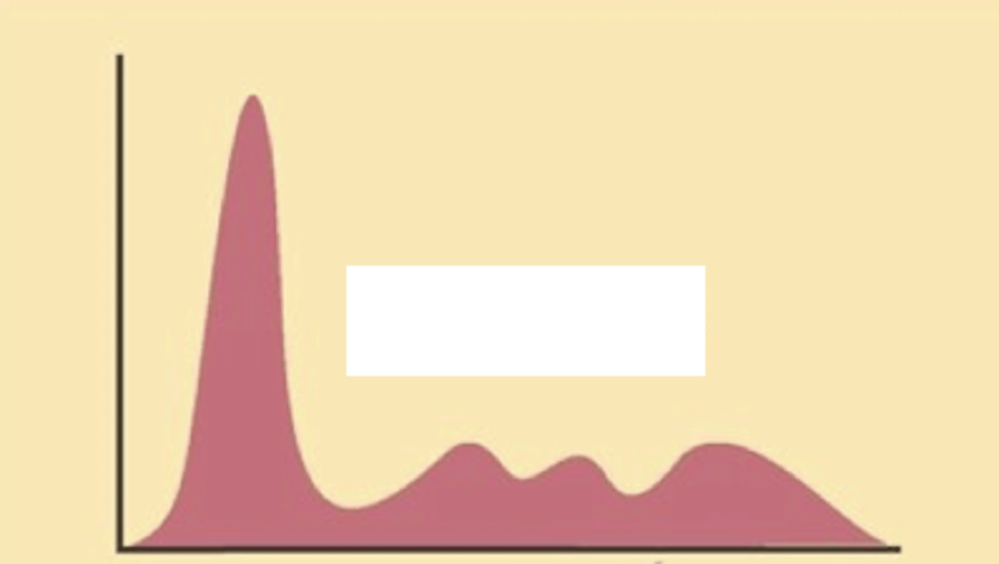 <p>Describe the serum electrophoresis</p>