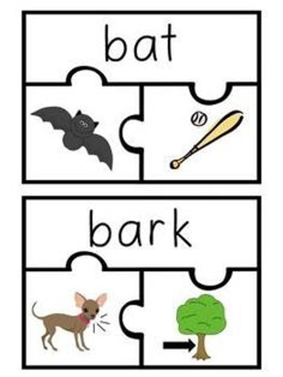 <p>Words that are spelled the same, such as "bass" (a fish) and "bass" (a musical instrument), but have different meanings and may be pronounced differently</p><p>Ex: tear (v) = rip something; tear (n) = water drop from the eye</p>