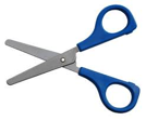 <p>scissors (masc)</p>