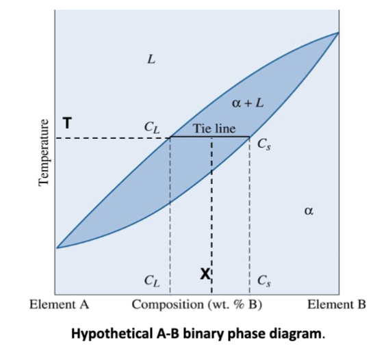 <p>For an alloy at coordinates T-X inside a two-phase region, a _______ at the temperature of interest fixes the compositions of the two phases.</p><p>Constant temperature → extend line to liquidus and solidus to get composition of liquid and solid</p>