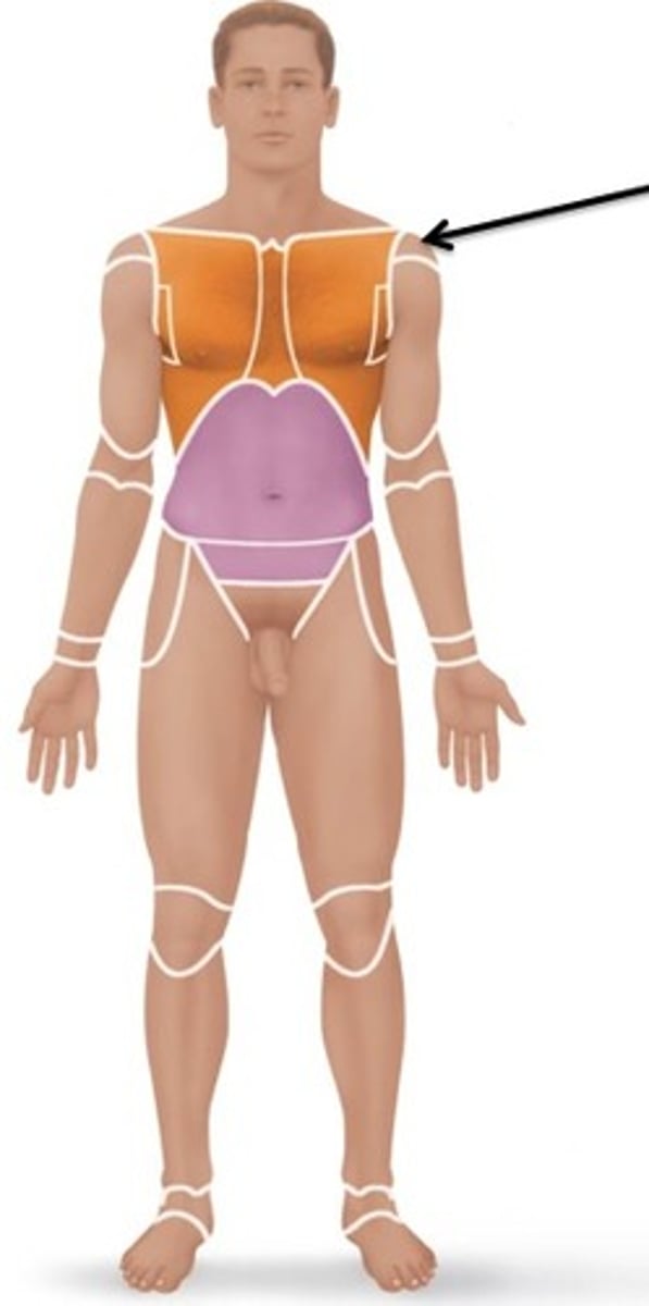 <p>Relating to the shoulder.</p>