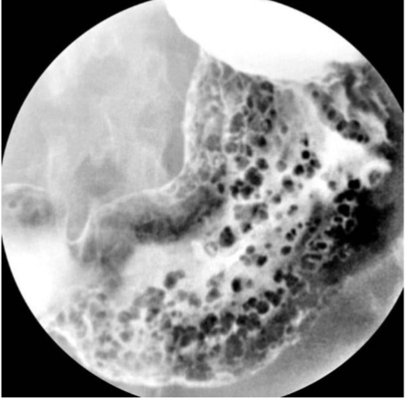 <p>What is this and what type of scan </p>