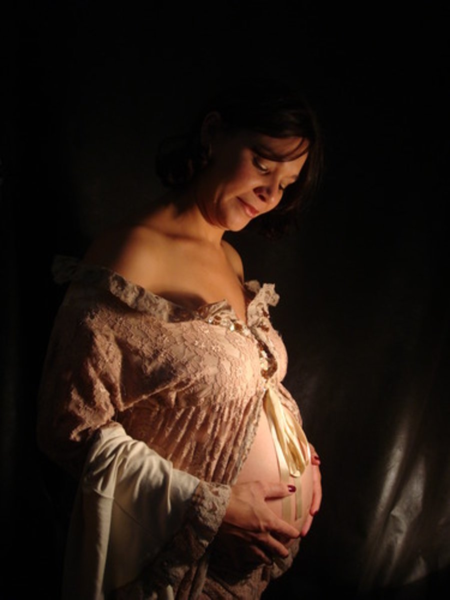 <p>The pregnancy</p>