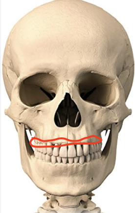 <p>what is this?</p>