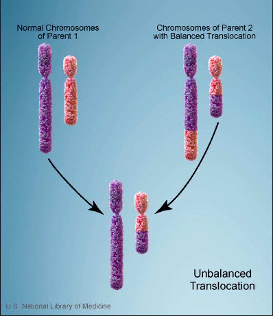 <p>A translocation that results in a cell having too much genetic material compared with a normal cell.</p>