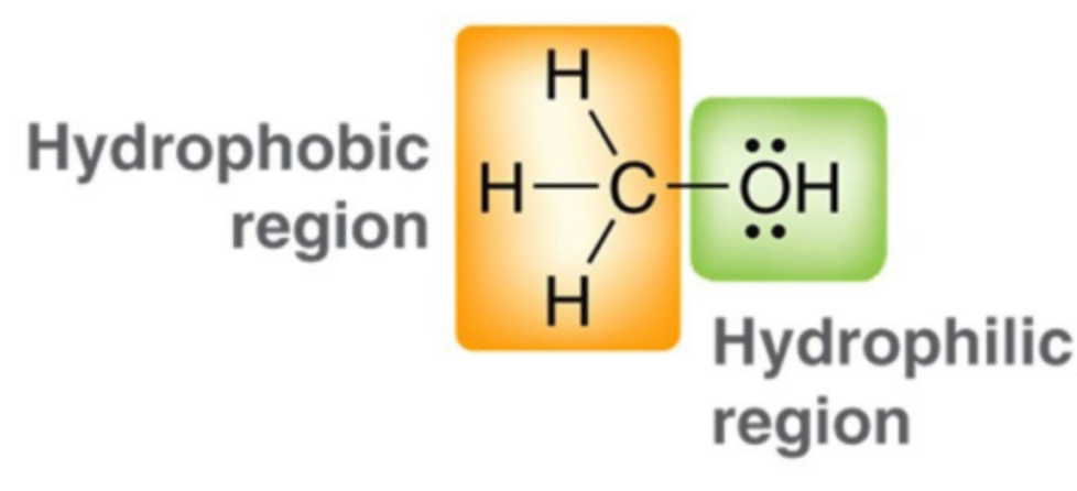 <p>Alcohols with larger hydrophobic groups are less miscible due to increased nonpolar character, which reduces their solubility in polar solvents like water. </p>