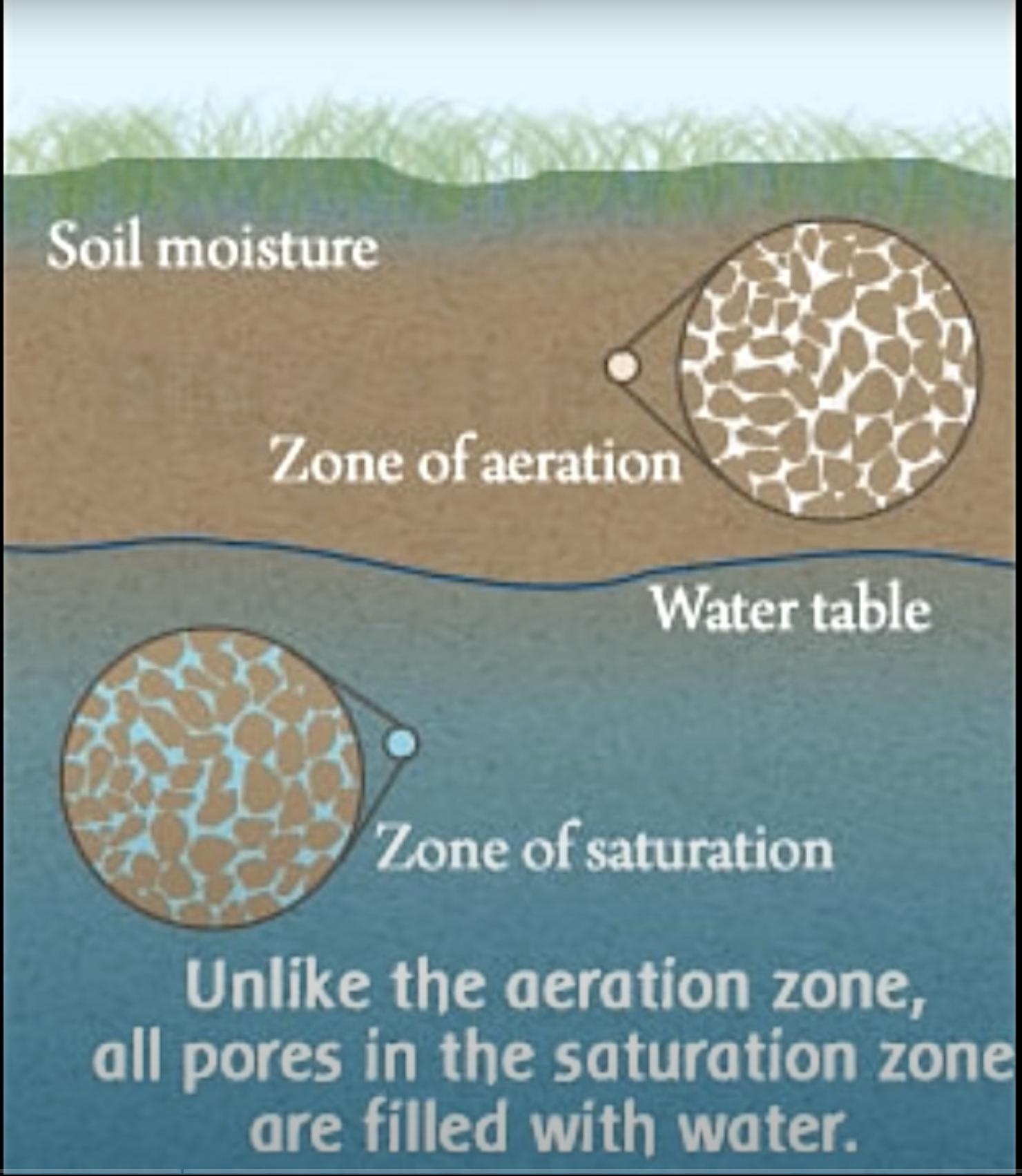 <ul><li><p><strong>Zone of saturation</strong> = pores completely filled with water (below water table).</p></li><li><p><strong>Zone of aeration</strong> = pores partly filled with air + water (above water table).</p></li></ul><p></p>