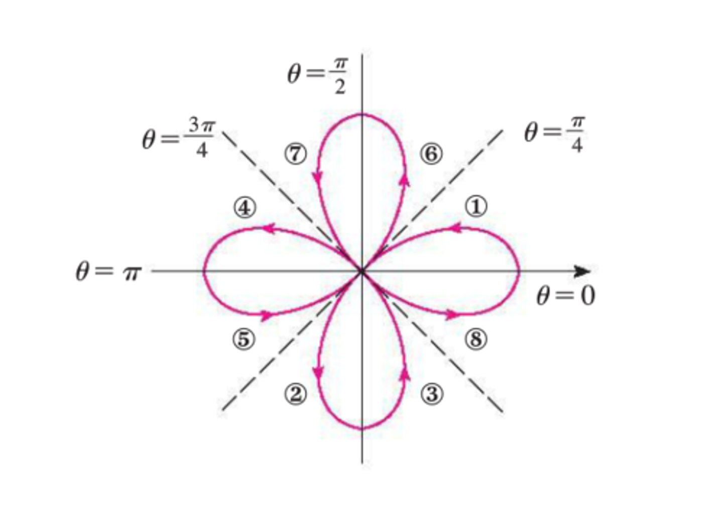 <p>4 petals (over x)</p>