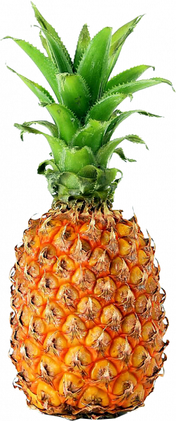 <p>die Ananas(se)</p>