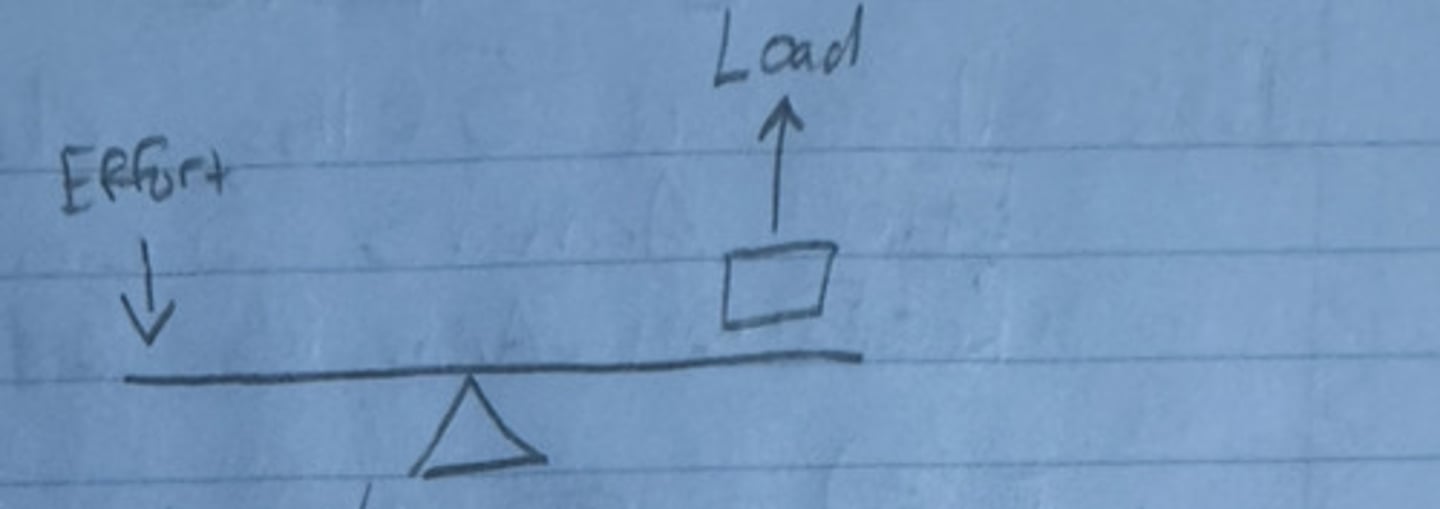 <p>The fulcrum is between the effort and resistance</p>