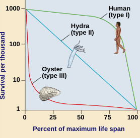 <p>Very high early mortality but the few survivors then live long</p>