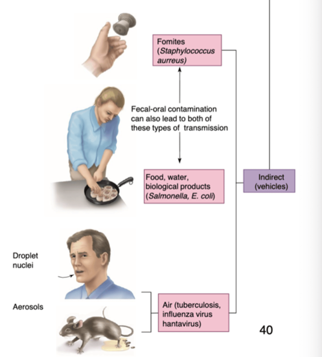<p>- fomites; staphylococcus</p><p>- food/water/biological products; salmonella, e. coli</p><p>- air; tuberculosis, influenza virus, hantavirus</p>