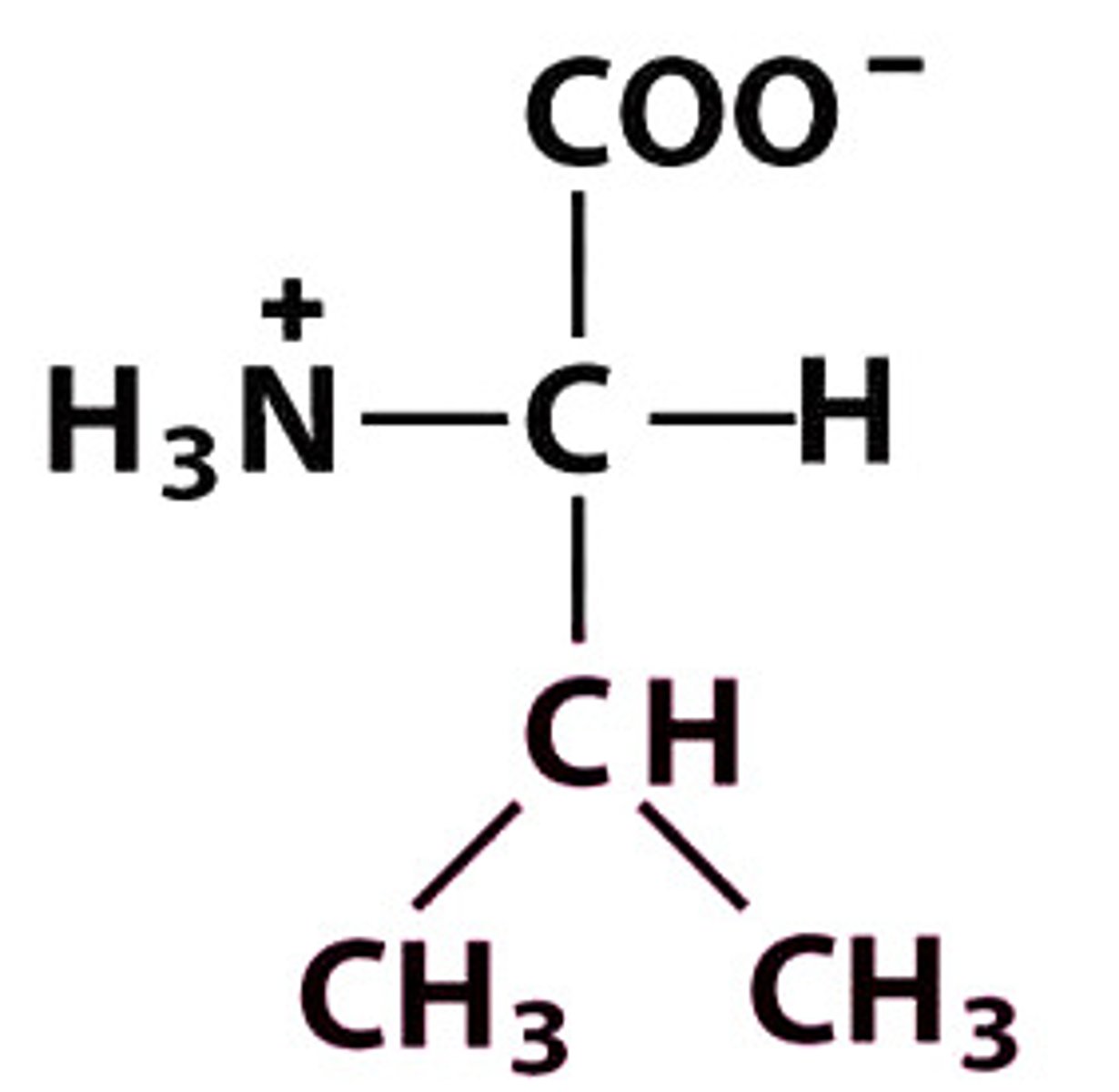 <p>Give the symbol, abbreviation, name of this amino acid</p>