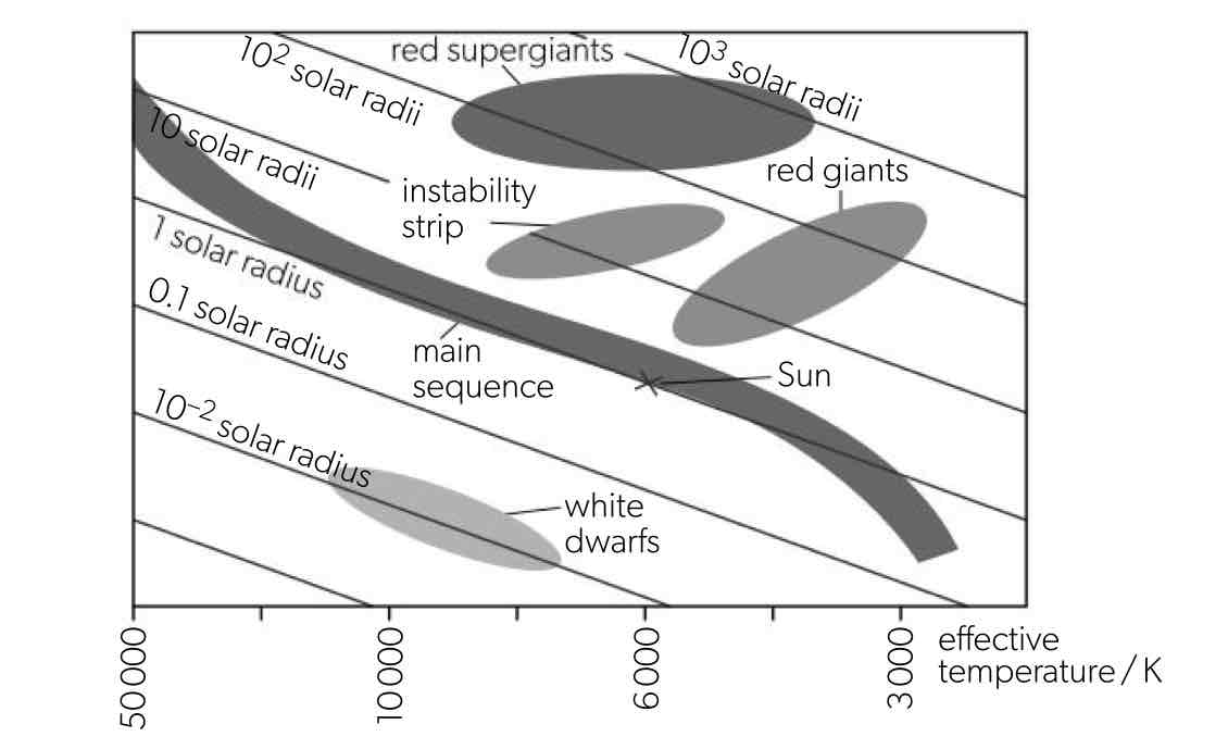 <p><span>the luminosity of the stars (vertical axis) plotted against the temperature (</span><u><span>decreasing</span></u><span>, horizontal axis)</span></p>