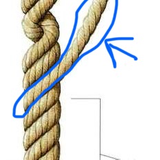 <p>Comment nomme-t-on l’ensemble de fils ou de brins torsadés formant une corde ou un câble ?</p>