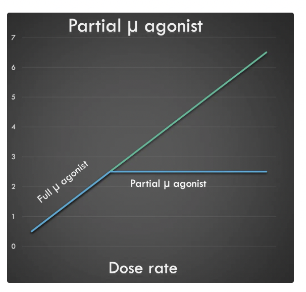 <p><u>MoA:</u> Partial mu-agonist</p><p><u>Advantages:</u></p><ol><li><p>Long duration of action for analgesia</p></li><li><p>Fewer opioid-associated side effects (less respiratory depression, sedation and GI stasis)</p></li></ol><p><u>Disadvantages:</u></p><ol><li><p>Slow onset of action</p></li><li><p>Less effective analgesia as partial mu-agonist (ceiling effect → increased dose will no longer increase effect)</p></li><li><p>High affinity for mu-opioid receptors → Blocks effects of full mu-opioids</p></li><li><p>Limited reversal with naloxone (may require repeated administration at higher dose rates)</p></li></ol><p><u>Routes:</u> IV, IM, SC, buccal (cat)</p><p><u>Onset:</u> 30 - 45 minutes</p><p><u>Duration:</u> 6 - 8hr</p>