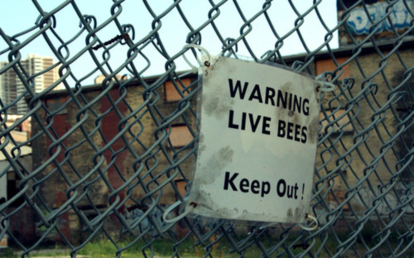 <p>noun - biện pháp răn đe Strong laws act as a deterrent to crime.</p>