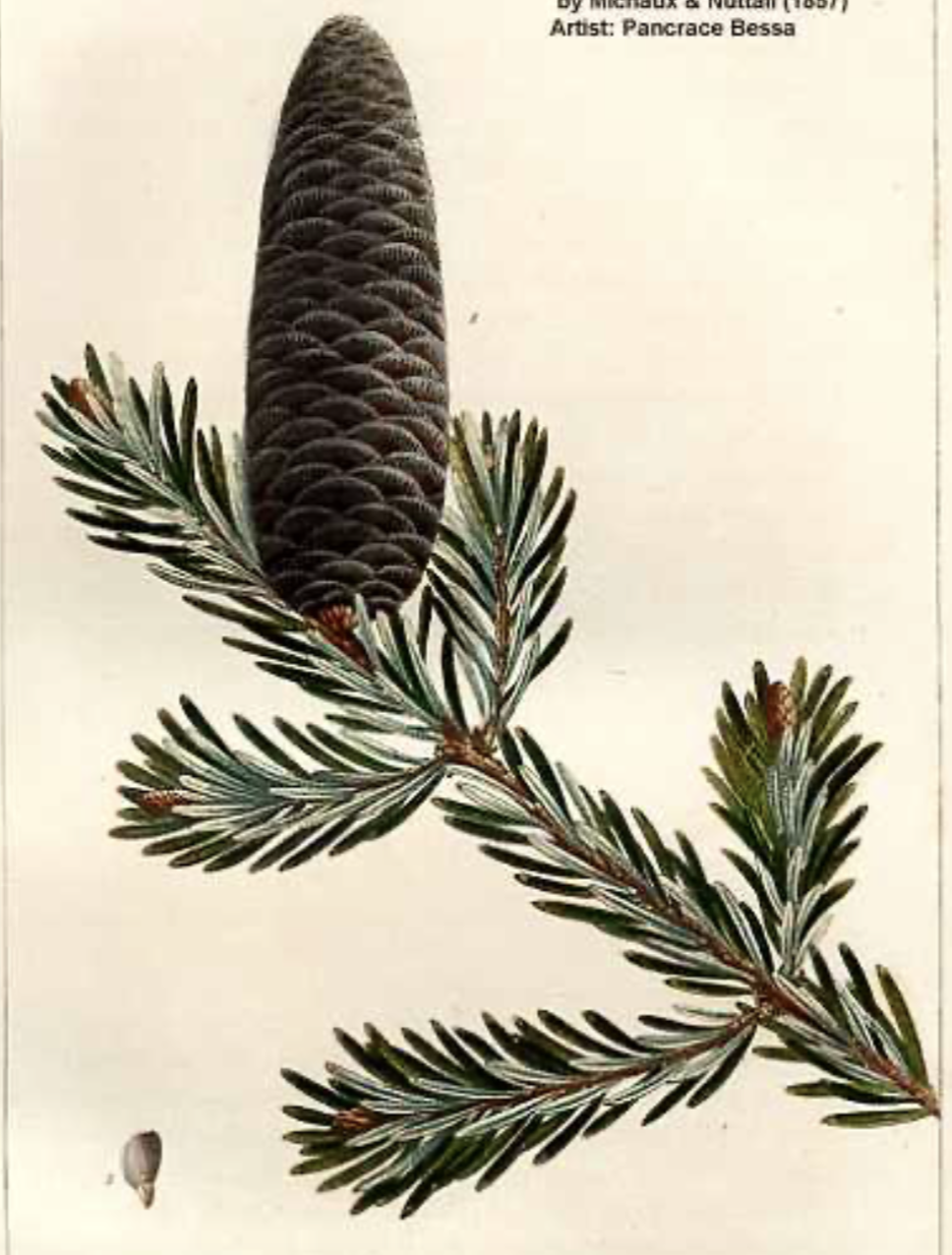 <p></p>
