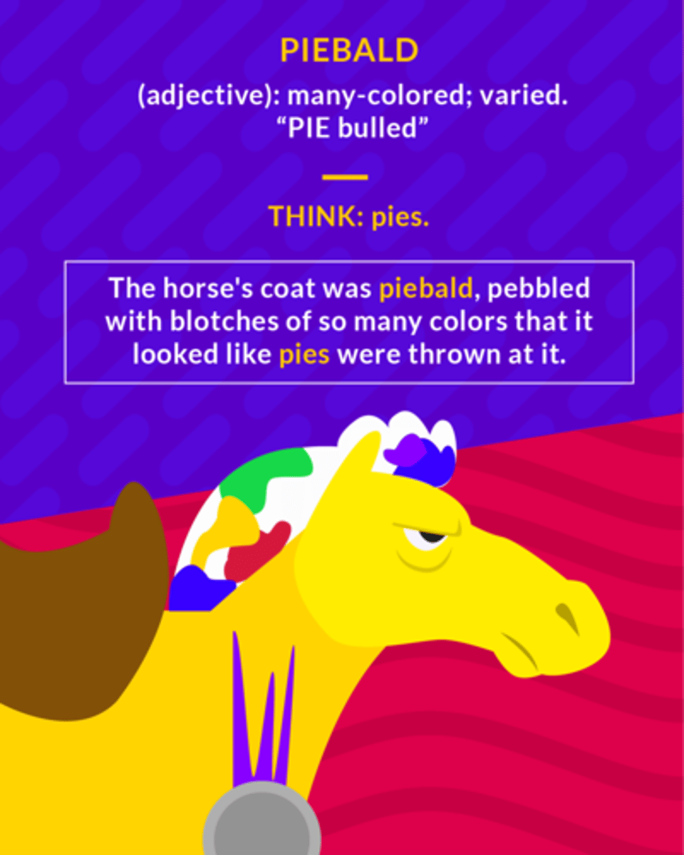 <p>multicolored; spotted</p>