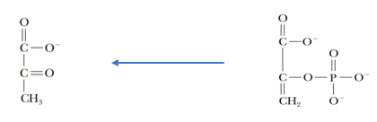 <p>what reaction is happening here?</p>