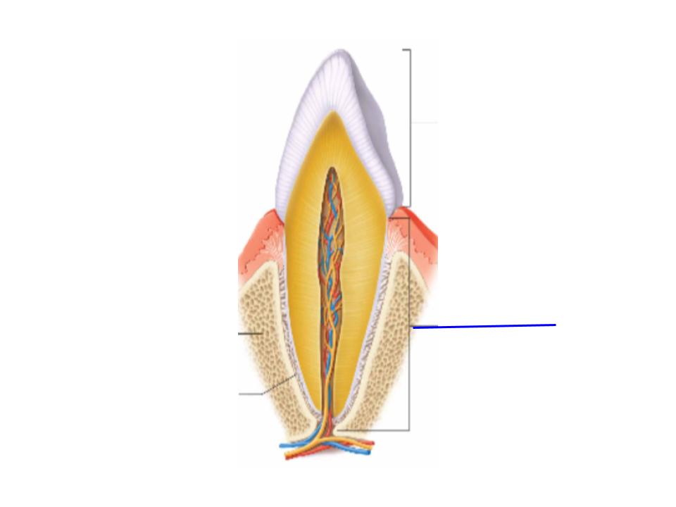 <p>What is this image pointing at? </p>
