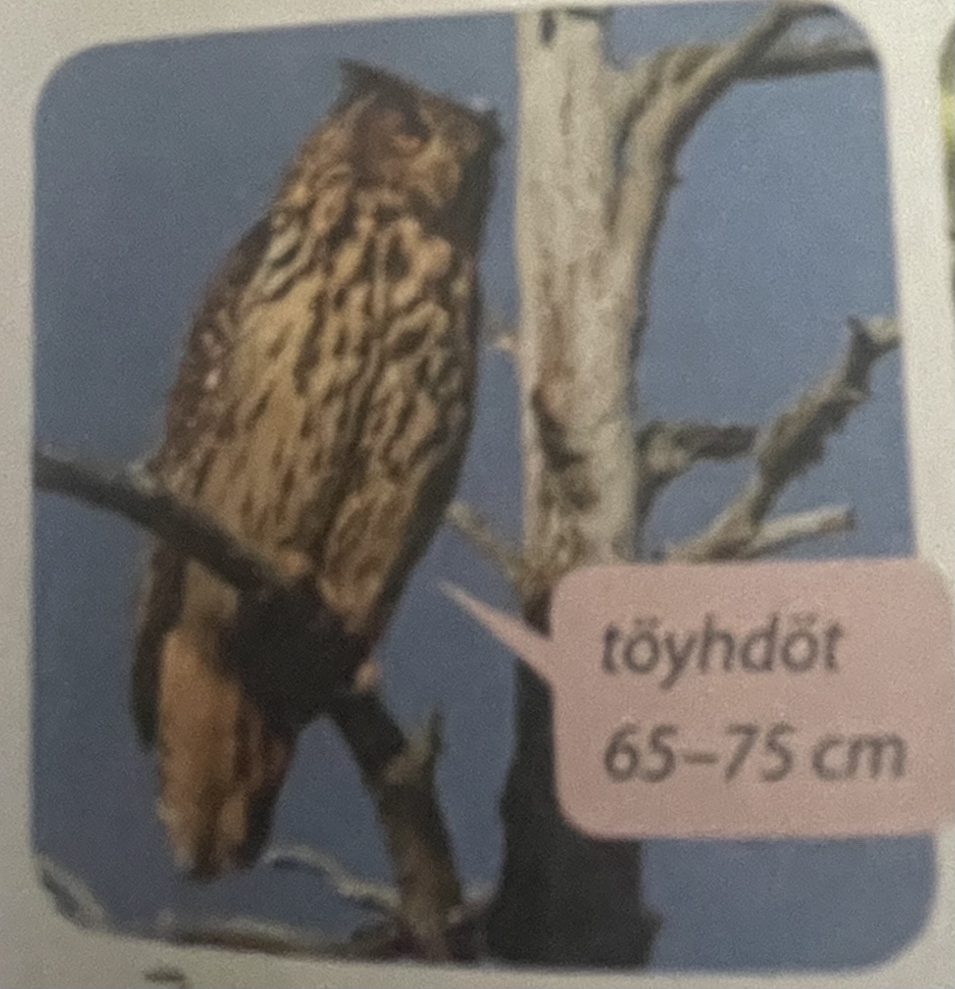 <p>mikä eläin</p>