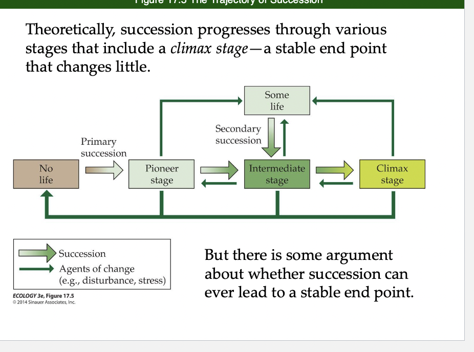 <p>Components of Primary Succession</p>