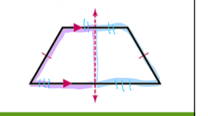 figures are reflections on either sides of the line, and are congruent

the line of symmetry divides these parts