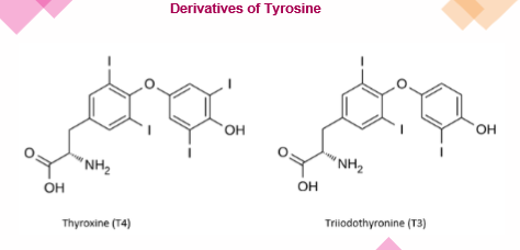 <p>Which is more powerful/potent</p>