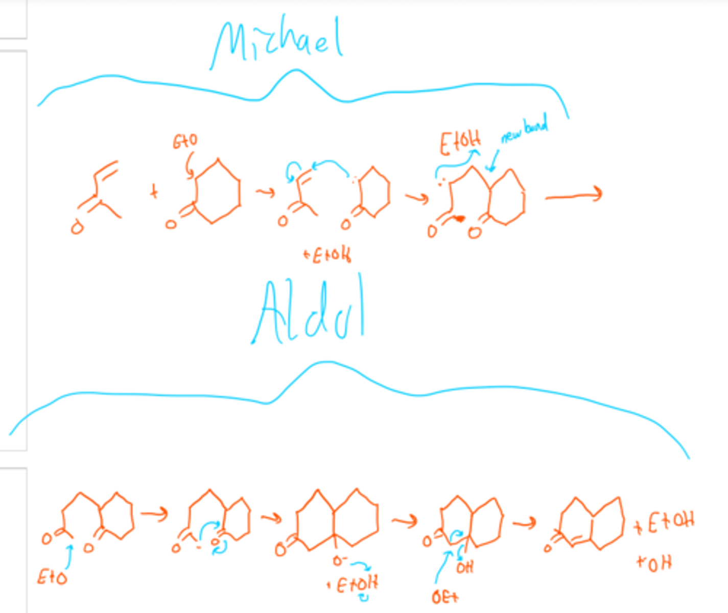 <p>(n.) ring-like markings</p>