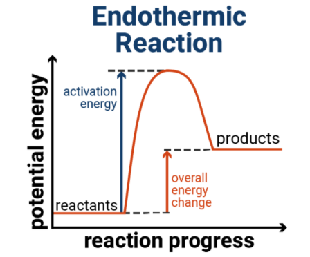 <p>When the products have more energy than the reactants</p>