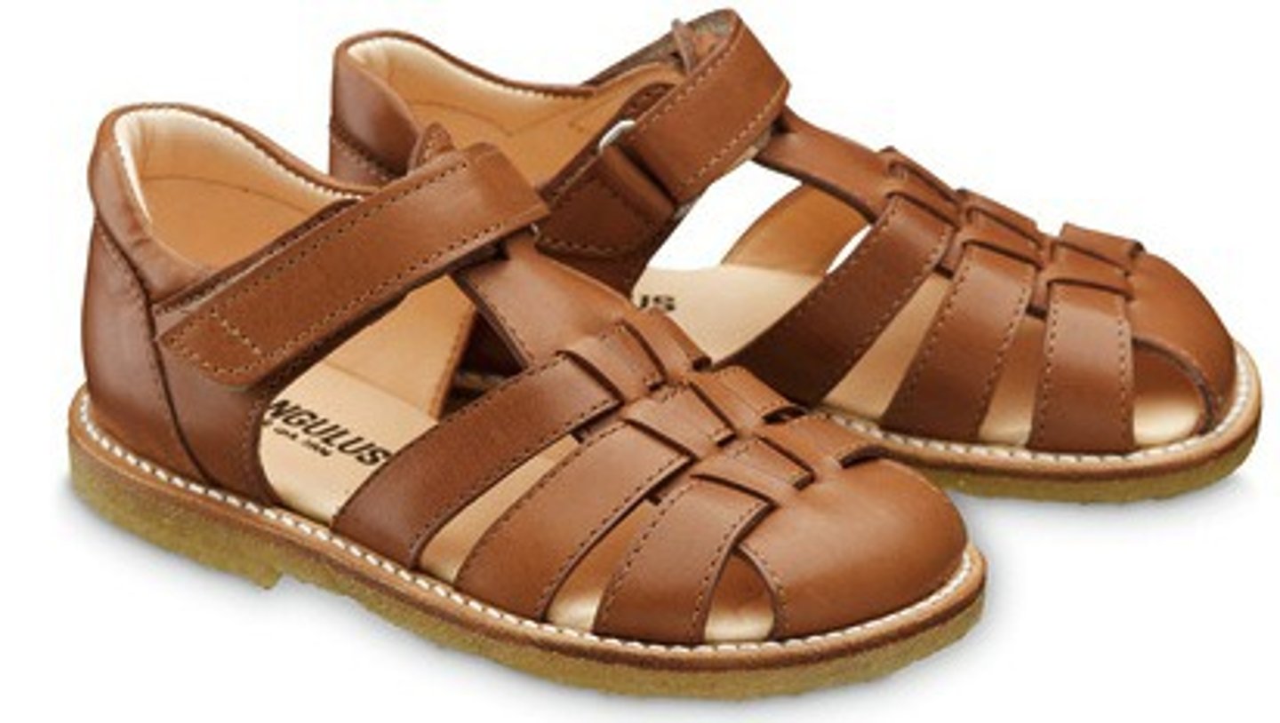 <p>a pair of sandals</p>