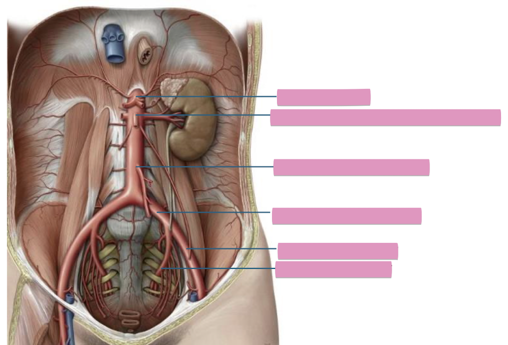 <p>Fill in the blank </p>