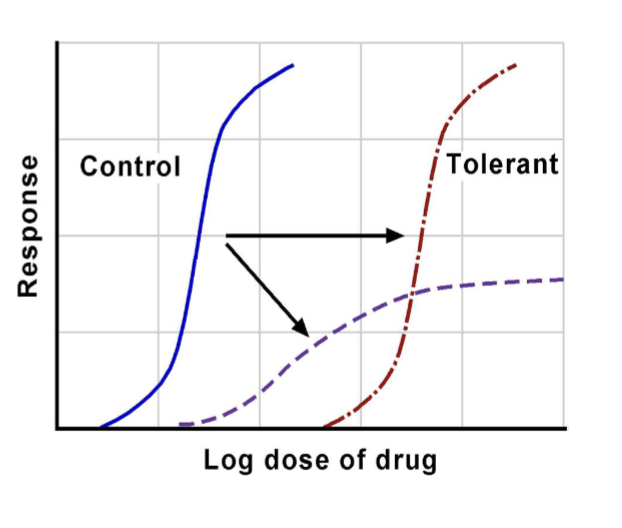 <p>Pharmacokinetic tolerance</p>