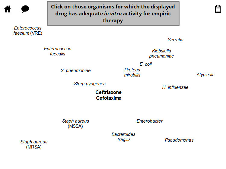 <p>Ceftriaxone</p>