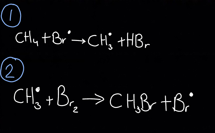 <p>Some radicals are used up and some radicals are formed, must have</p><p> neutral molecule + radical → neutral molecule + radical</p><ol><li><p>Add radical and react with alkane</p></li><li><p>React the radical alkyl group formed with another molecule of halogen (bromine in this case)</p></li></ol><p></p>