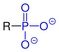 <ul><li><p>3 oxygens</p></li><li><p></p></li></ul><p></p>
