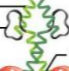 <p>What is this? Label?</p>