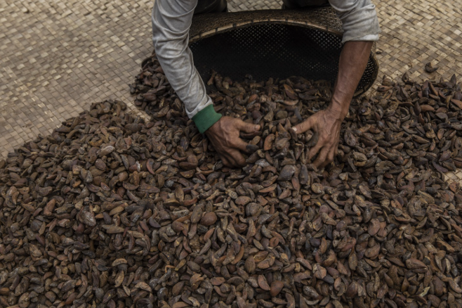 <ul><li><p><strong>Sweet wild orange oil</strong> boosts energy</p></li><li><p><strong>Citrus oils</strong> are known for their mood-lifting properties</p></li><li><p><span><strong><span>Illipe butter </span></strong><span>softens and moisturizes skin</span></span></p></li></ul><p></p><p><span><span>Ethical fun fact: illipe butter is wild harvested in the forests of Borneo and then refined in the Netherlands. Local communities collect the seeds from the forest floor while protecting the home of many species threatened with extinction like orangutans, elephants and tigers.</span></span></p>