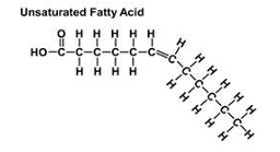 <p>contain double bonds - one db = monosaturated, more than one = polysaturated</p><p>if 2 or more db bonds: bond is spaced at 3 carbon intervals</p><p>position is specified by distance from carboxy end: e.g. <span>▲<sup>6</sup> (delta 6) </span>double bond is between carbon 6 and 7</p>