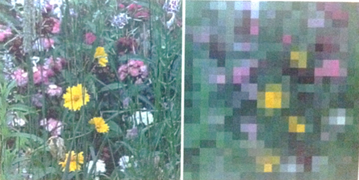 <p>ability to accurately distinguish details</p>