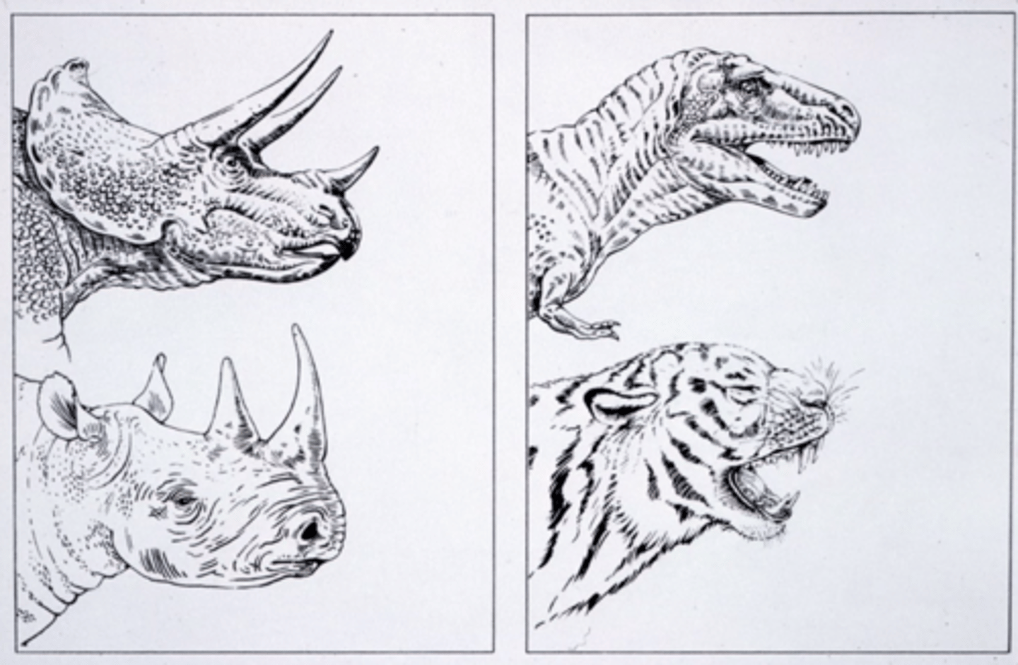 <p>By using modern analogues</p><p>-using the alive animals as comparisons to the extinct</p>