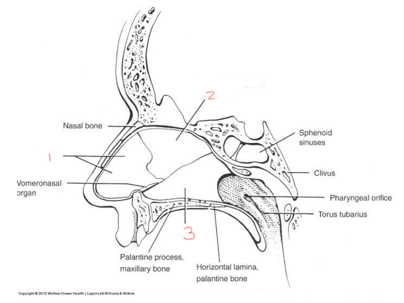 <p>1</p>