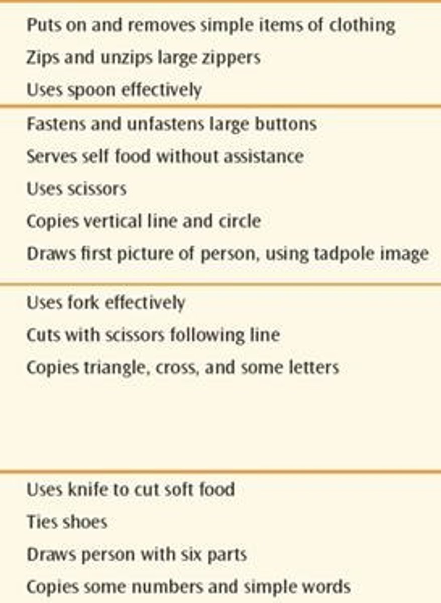 <p>Increased control and refined movements of fingers, hands, eyes, and face, enabling children to assist or complete self-help tasks and manipulate writing and drawing utensils.</p>