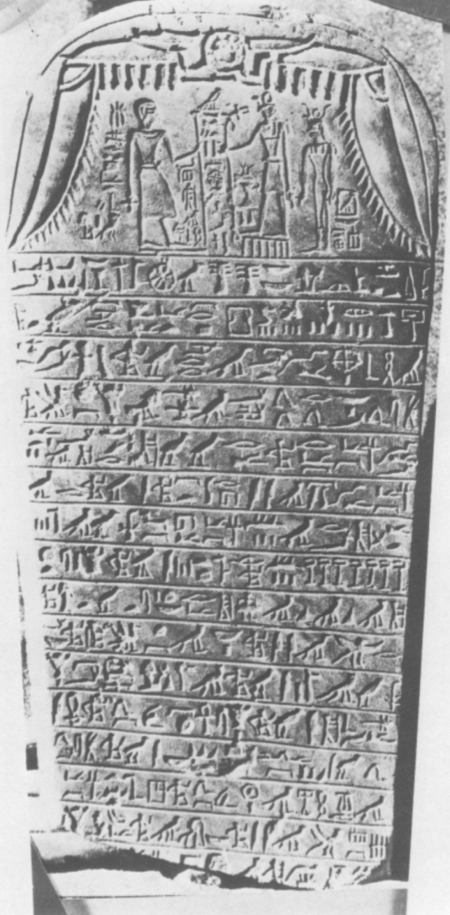 <p>6</p>