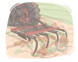 <p><strong>to prepare land and grow crops on it, or to grow a particular crop:</strong></p><p><br></p>