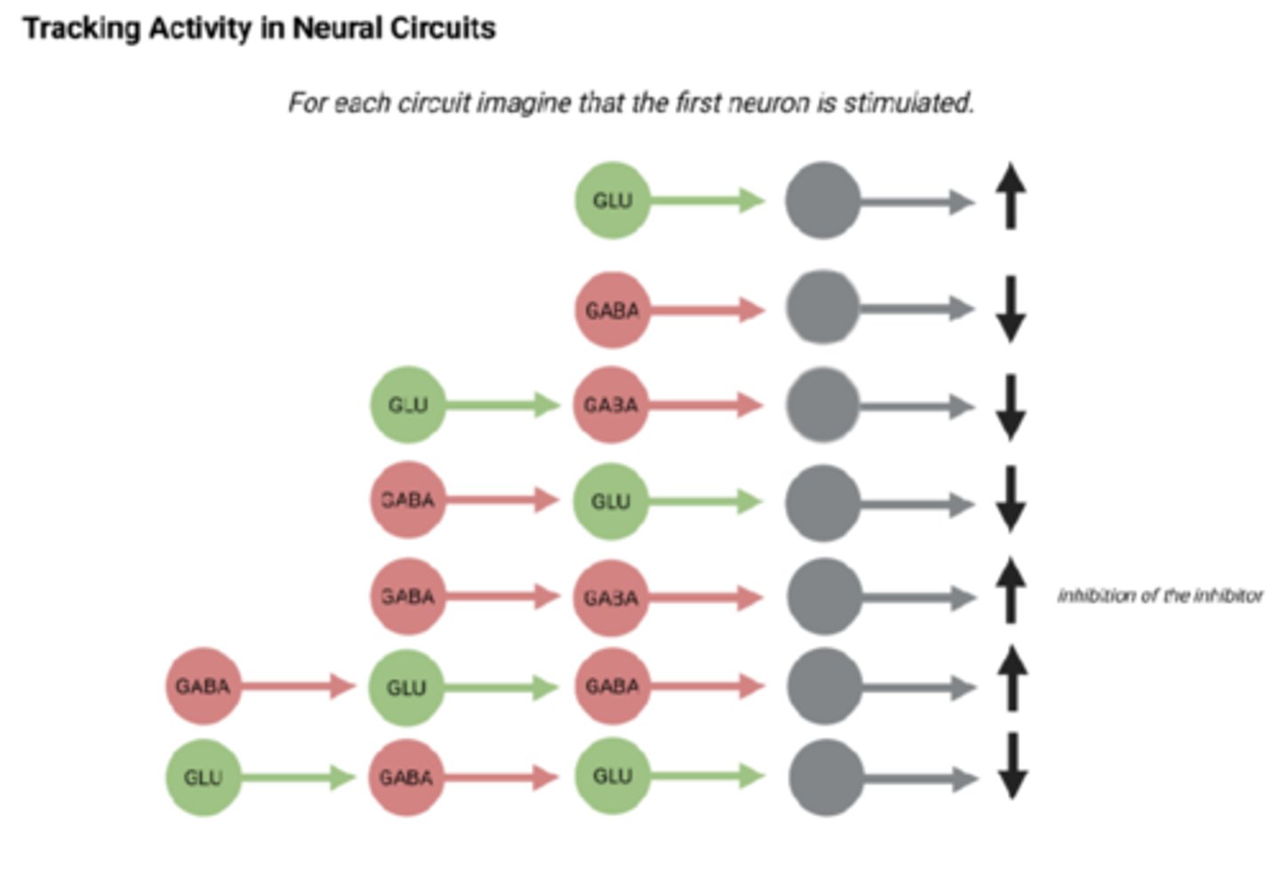 <p>-Remember glutamate is excitatory and GABA is inhibitory</p>